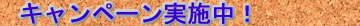Ly[{I
